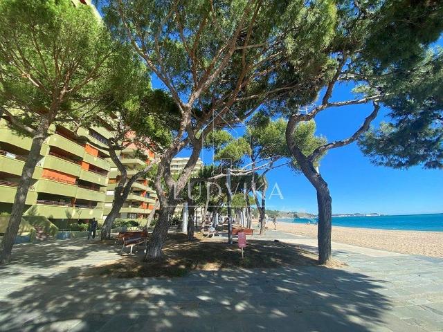 Estudio en venta en Castell d'Aro, Platja d'Aro i s'Agaró, Baix Empordà