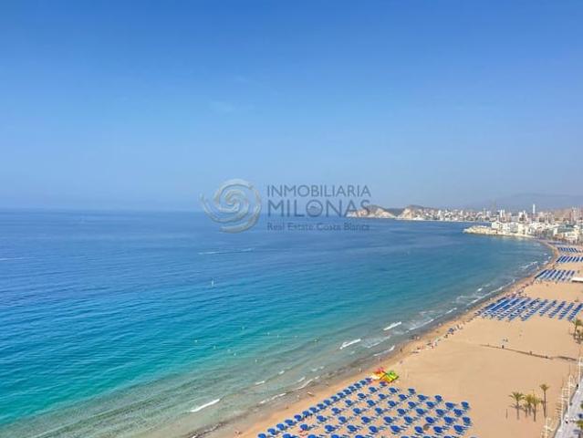 Estudio en venta en Benidorm, el Castell - Casc Antic Estudio en venta en Benidorm, el Castell - Casc Antic