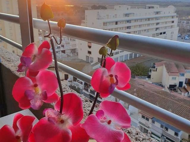 Estudio en venta en Alt Empordà, Catalunya