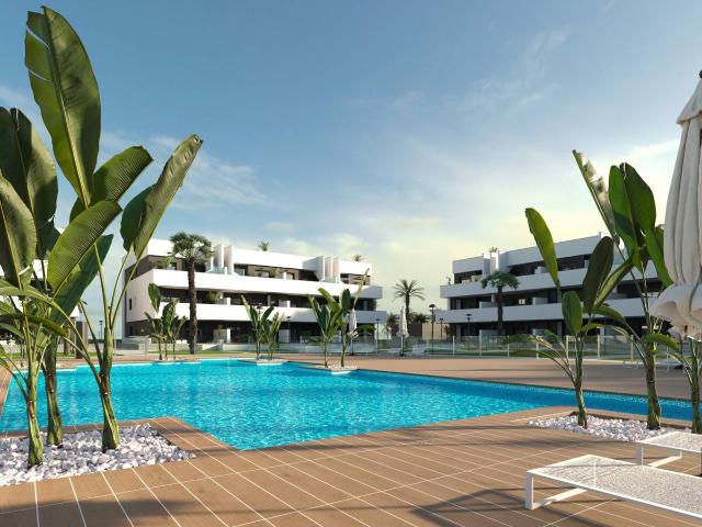Estudio en venta en Guardamar Del Segura