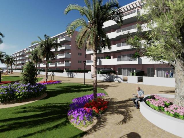 Estudio en venta en Guardamar Del Segura