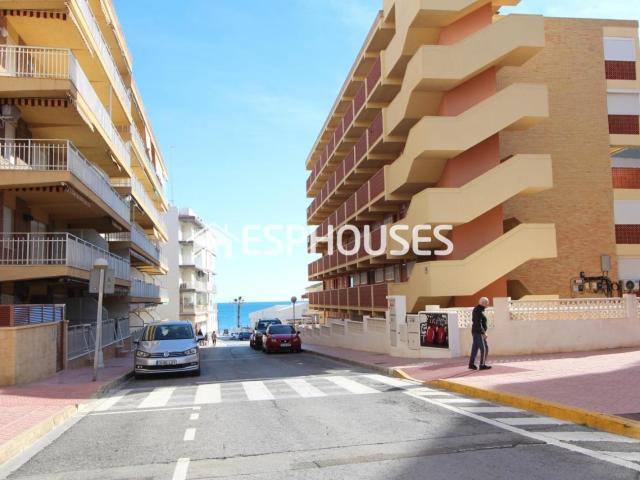 Estudio en venta en Guardamar Del Segura