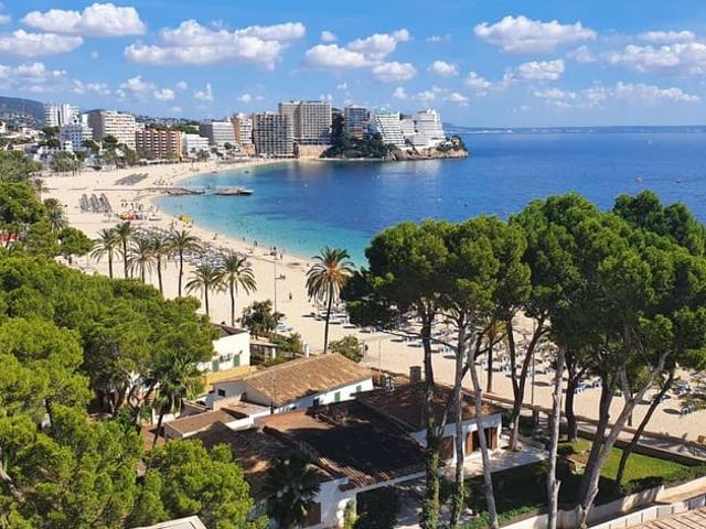 Estudio en venta en Magaluf, Torrenova