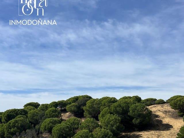 Estudio en venta en 1ª Fase, El Condado