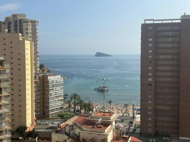 Estudio en venta en Benidorm, el Calvari