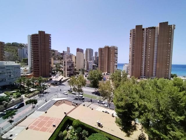 Estudio en venta en Benidorm, el Calvari