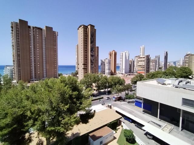 Estudio en venta en Benidorm, Valencia