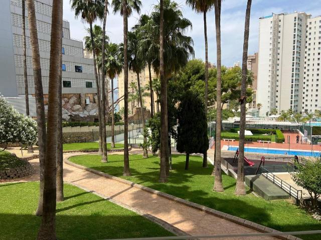 Estudio en venta en Benidorm, el Calvari