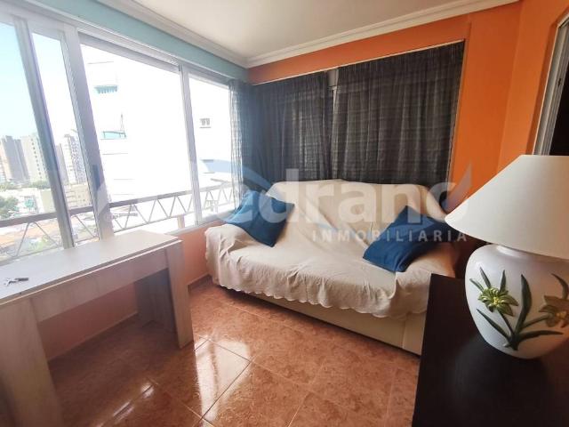 Estudio en venta en Benidorm, Valencia