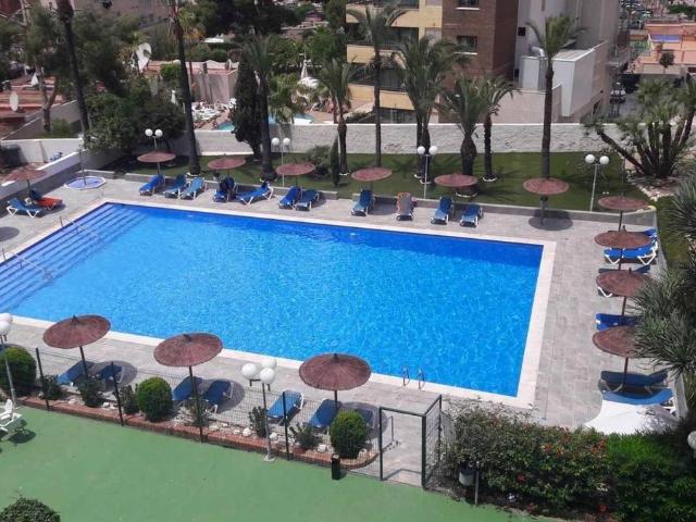 Estudio en venta en Benidorm, Valencia