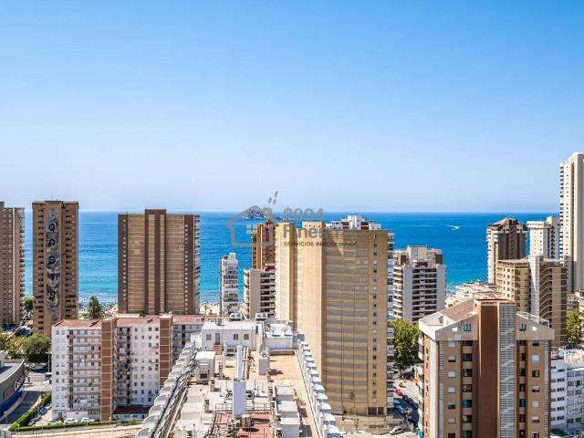 Estudio en venta en Benidorm, el Calvari Estudio en venta en Benidorm, el Calvari