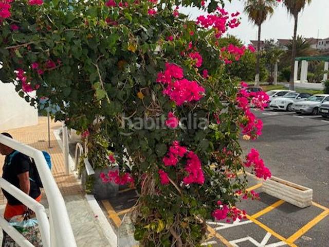 Estudio en venta en Asomada, San Miguel de Abona