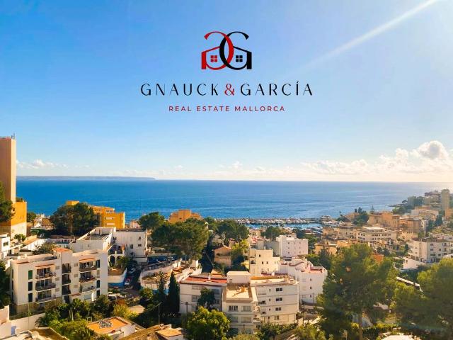 Estudio en venta en Palma, el Call