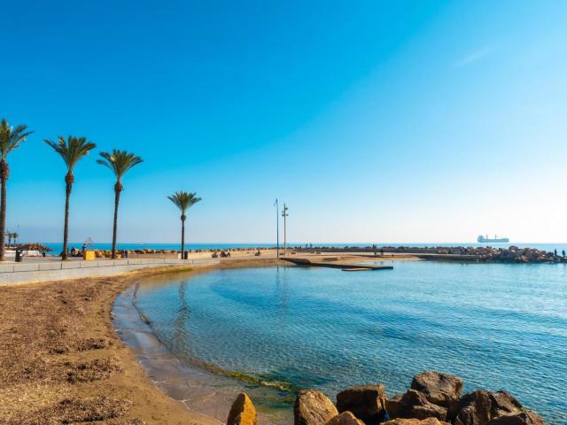 Estudio en venta en El Palmeral, el Baix Segura / La Vega Baja