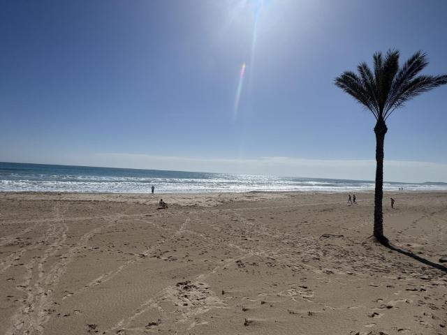 Estudio en alquiler en El Campello, Platja de Mutxavista