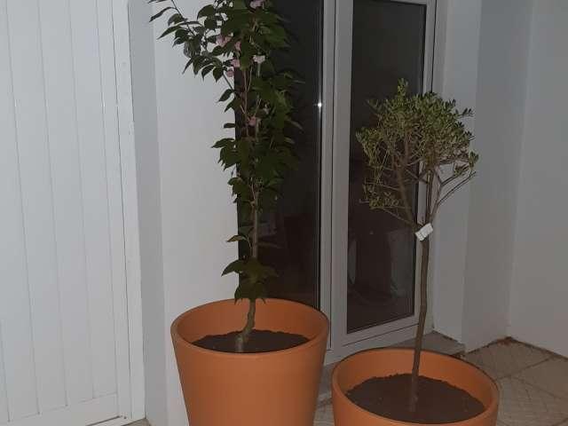 Estúdio alugar em Vale Bem, Almada