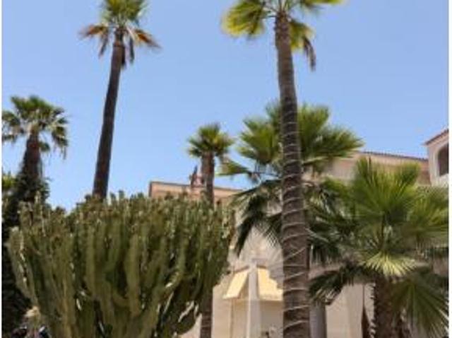 Estudio en venta en Los Cristianos, Arona