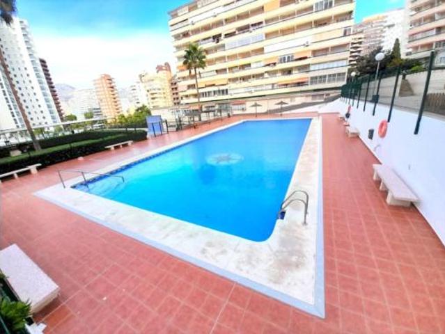 Estudio en venta en Benidorm, Valencia