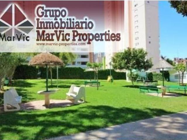 Estudio en venta en Benidorm, Valencia