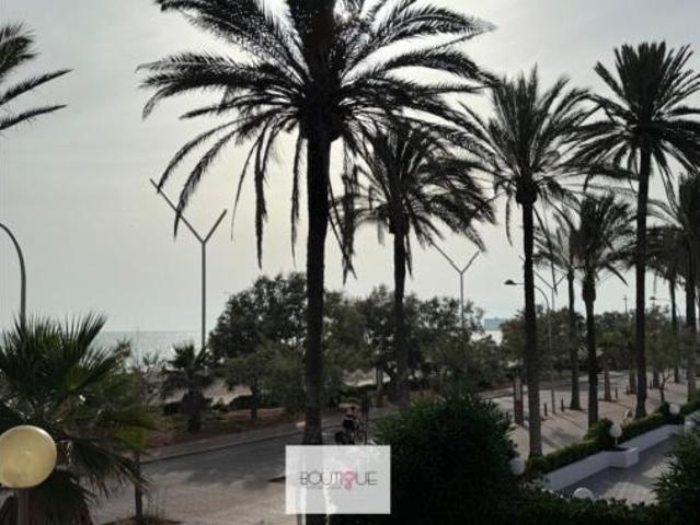Estudio en venta en Palma, Les Meravelles