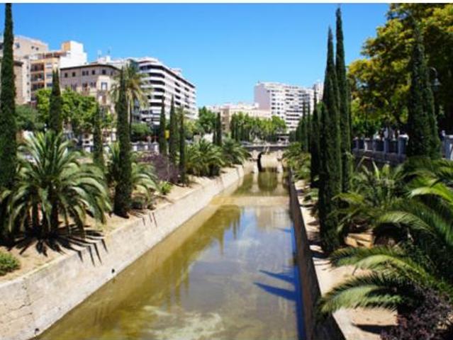 Estudio en venta en Canavall, Palma