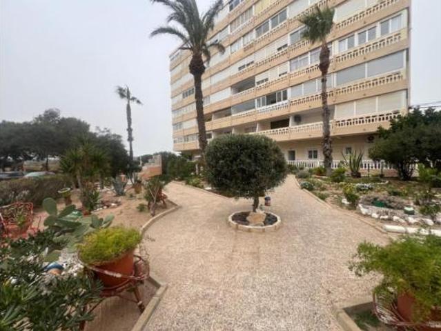 Estudio en venta en La Mata, el Baix Segura / La Vega Baja