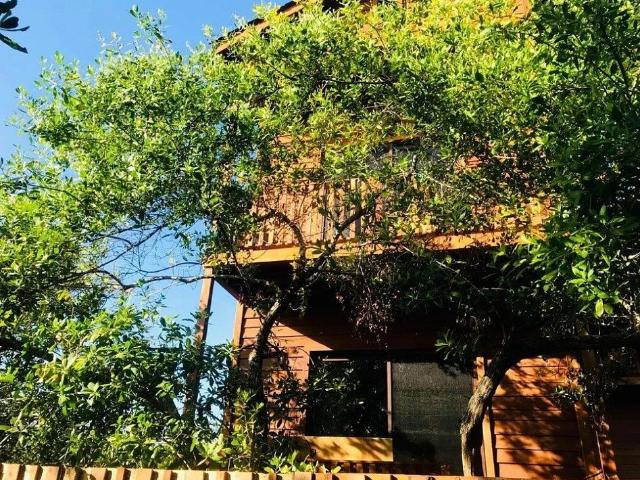 Departamento en renta en Lázaro Cárdenas, Quintana Roo