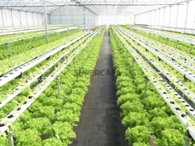 Terreno venda em Salvaterra De Magos, Santarém