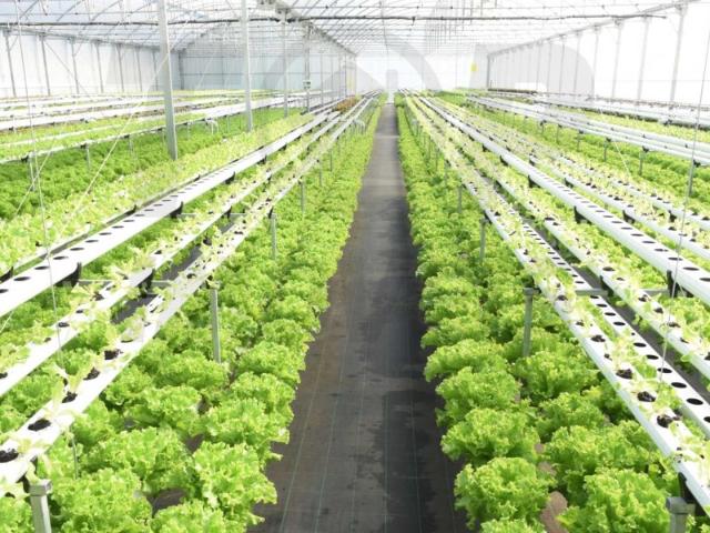 Terreno venda em Salvaterra De Magos, Santarém