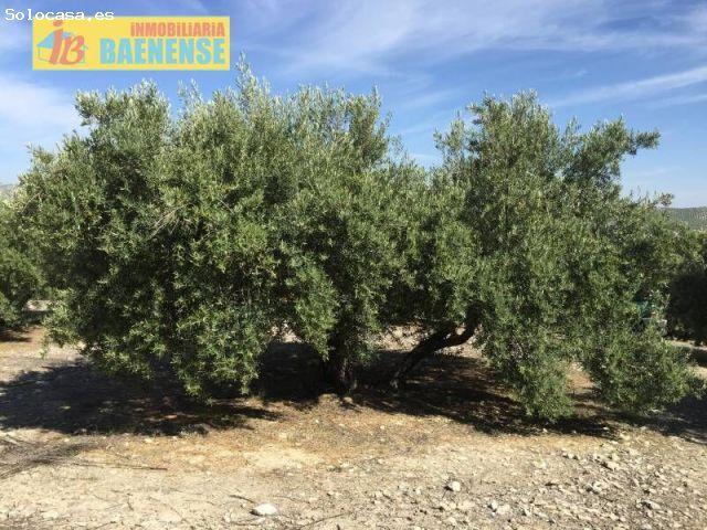 Local Comercial en venta en Alcaudete, Andalucía