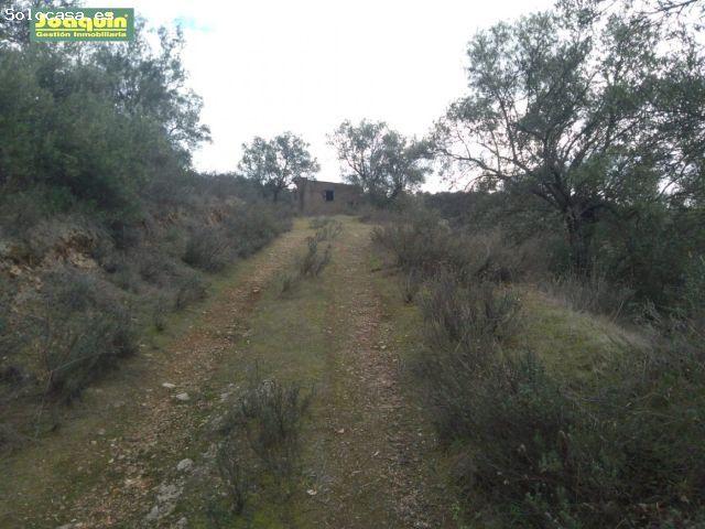 Local Comercial en venta en Espiel, Andalucía