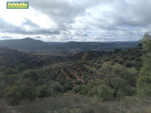Local Comercial en venta en Espiel, Andalucía