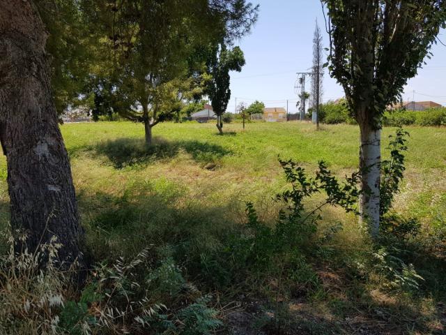 Terreno en venta en Los Ramos, Área Metropolitana de Murcia