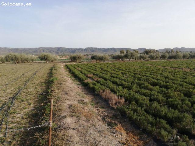 Local Comercial en venta en La Guirreta, Alto Guadalentín
