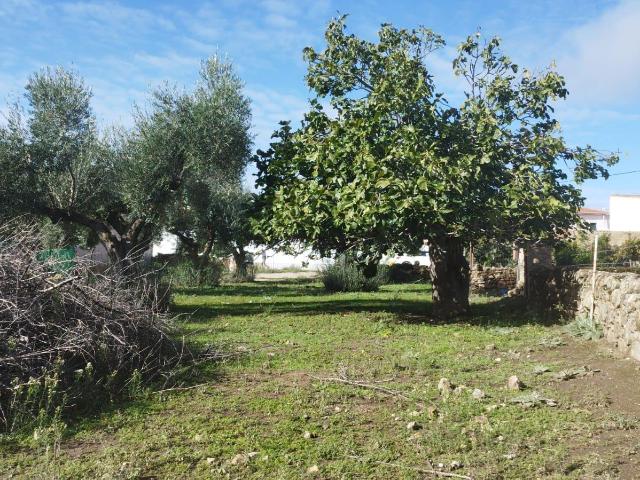Terreno en venta en Aldea Del Cano, Extremadura