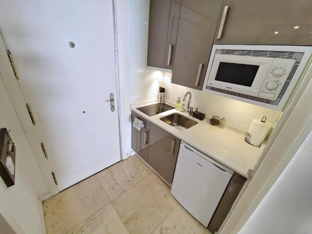 Estudio en alquiler en Madrid, Castellana