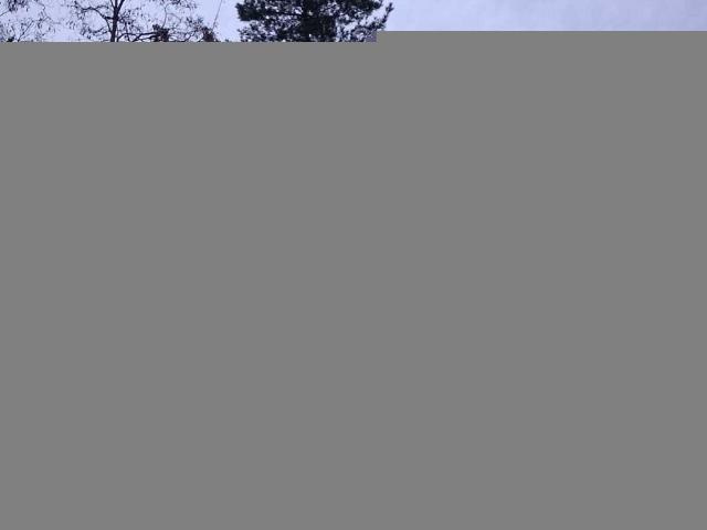 Terreno en arriendo en Olmué, Provincia de Marga Marga