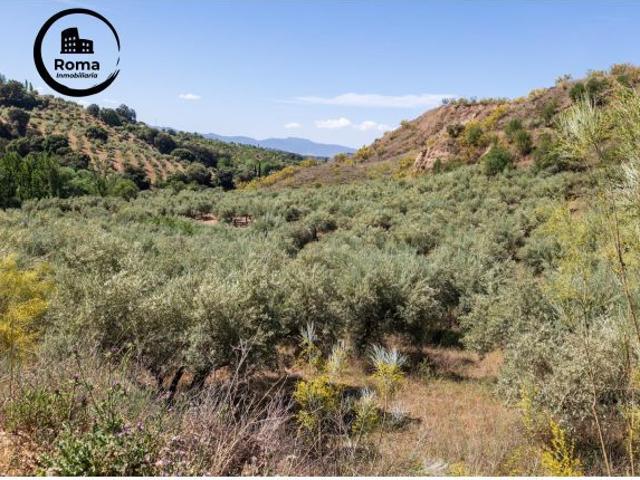 Local Comercial en venta en Víznar, Granada