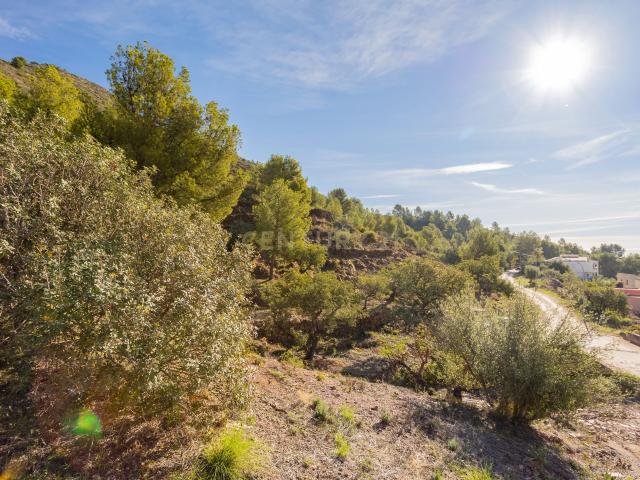 Casa Rural en venta en la Plana Baixa, Valencia