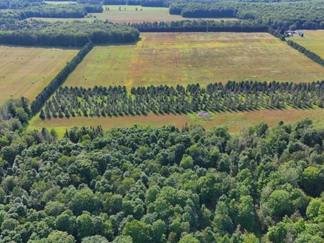 Land for sale in Michigan