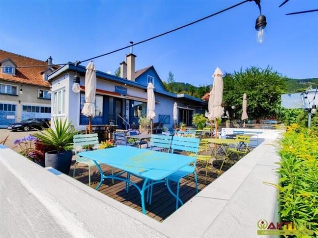 Gewerbe kaufen in Aflenz Kurort, Aflenz