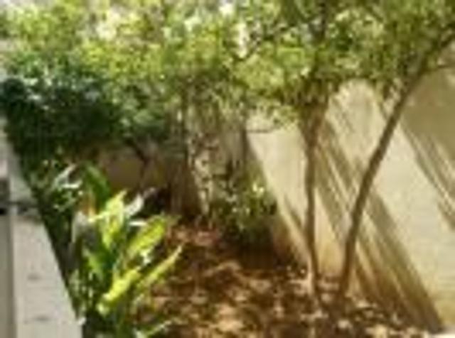 Appartement location