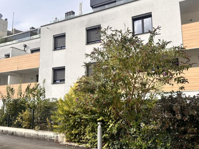 Apartment mieten in Wiener Neustadt, Musikantenviertel (Gartenstadt)