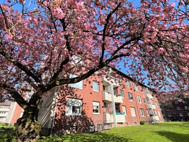 Apartment mieten in Beeckerwerth, Duisburg