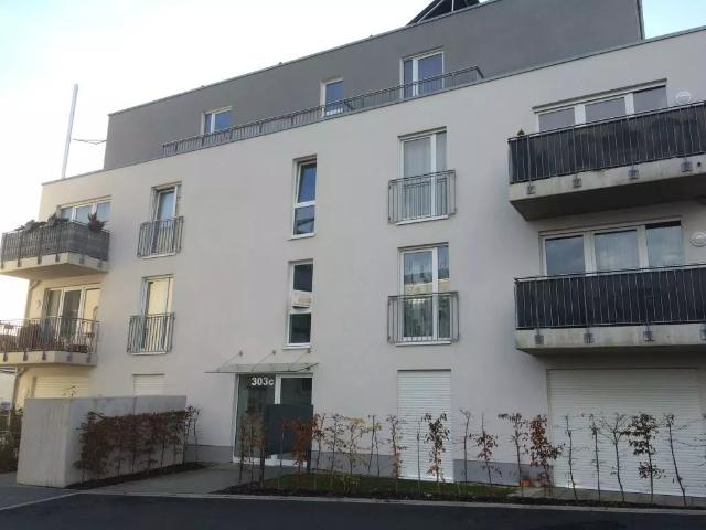 Apartment mieten in Nordstadt, Bonn