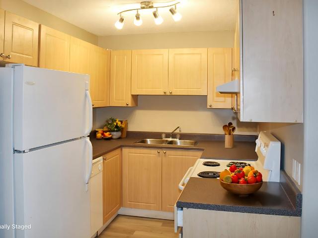 Apartment for rent in Wedgewood, Alberta