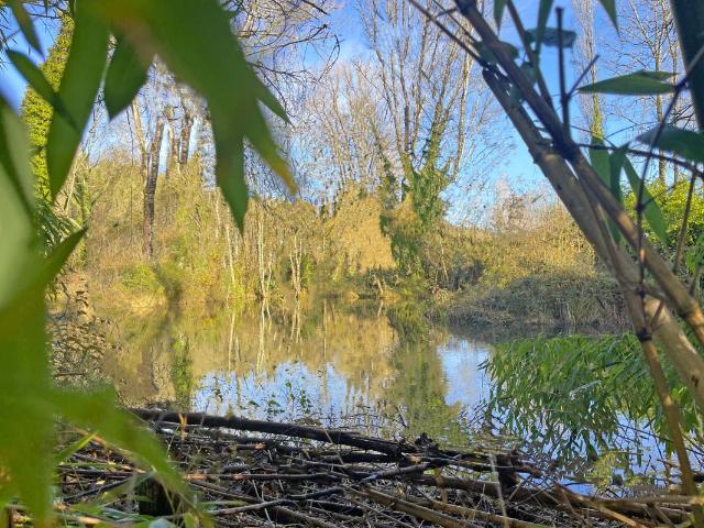 Terrain vente à Périgueux, Sainte-alvère