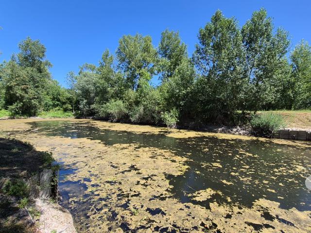 Terrain vente à Épernay, Mareuil-sur-ay