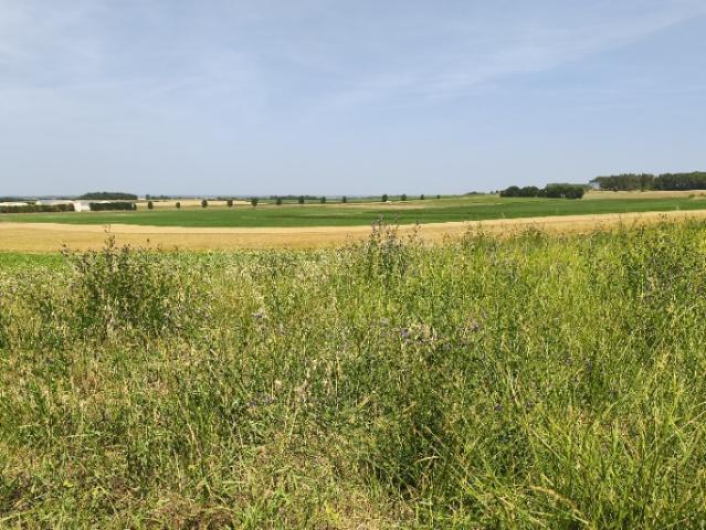 Maison vente à Rochefort, Etaules