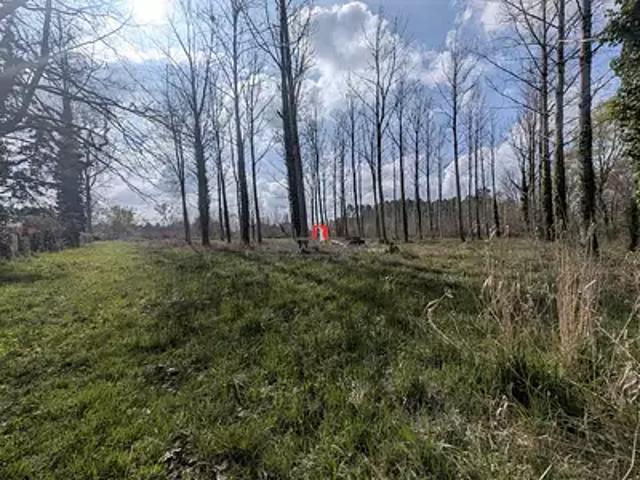 Terrain vente à France métropolitaine, Etauliers